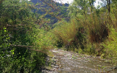 Most streams in Low Alpujarras never dry out